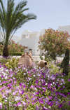 Vincci Djerba Hotel 